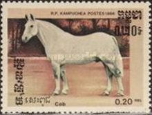 Cob (Equus ferus caballus)