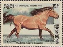Vladimir Heavy Draught (Equus ferus caballus)