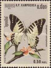 Fivebar Swordtail (Graphium amtiphates)