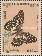Checkered Swallowtail (Papilio demoleus)