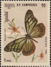 Chestnut Tiger (Parantica sita)