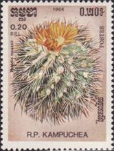 Parodia maassii