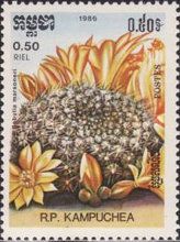Rebutia marsoneri