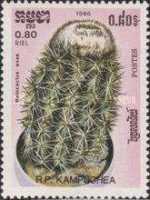 Melocactus evae