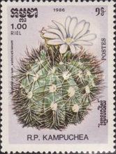 Gymnocalycium valnicekianum