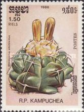 Discocactus silichromus
