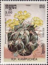 Weingartia chiquichuquensis