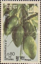 Mango (Mangifera indica)