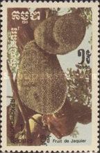 Breadfruit (Artocarpus altilis)