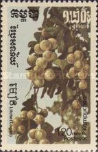Longan (Dimocarpus longan)