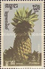 Pineapple (Ananas comosus)