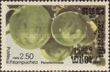 Pamplemousse or Pomelo (Citrus maxima)