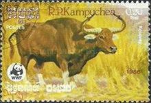 Kouprey (Bos sauveli)
