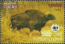 Gaur (Bos gaurus)