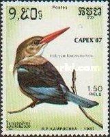 Grey-headed Kingfisher (Halcyon leucocephala)