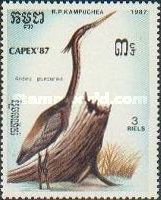 Purple Heron (Ardea purpurea)