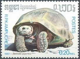 Aldabra Giant Tortoise (Testudo gigantea)