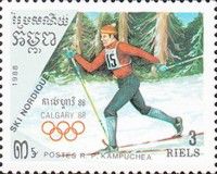 Ski racing
