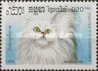 White British Longhair (Felis silvestris catus)
