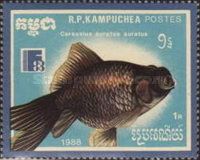 Goldfish (Carassius auratus auratus)