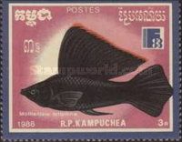 Sailfin Molly (Mollienisia latipinna)