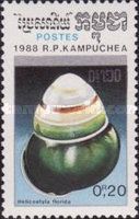 Land Snail (Helicostyla florida)