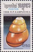 Land Snail (Helicostyla marinduquensis)
