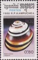 Land Snail (Helicostyla fulgens)