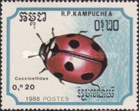 Seven-spot Ladybird (Coccinella septempunctata)