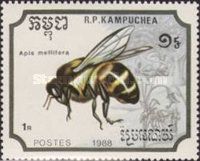 Western Honeybee (Apis mellifera)