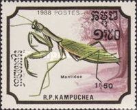 European Mantis (Mantis religiosa)