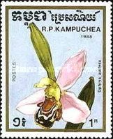Ophrys apifera