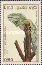 Green Iguana (Iguana iguana)