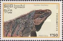 Blue Iguana (Cyclura macleayi)