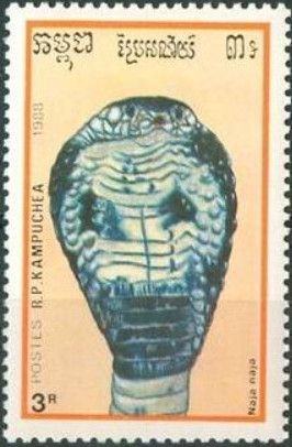 Indian Cobra (Naja naja)