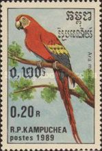 Scarlet Macaw (Ara macao)