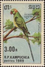 Rose-ringed Parakeet (Psittacula krameri)