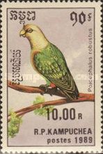 Cape Parrot (Poicephalus robustus)
