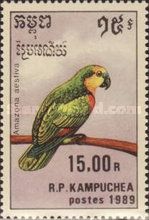 Turquoise-fronted Amazon (Amazona aestiva)
