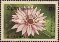Nymphaea "Geo. T. Moore"