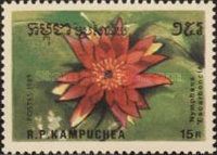 Nymphaea "Escarboucle"