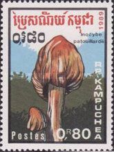 Inocybe patouillardii