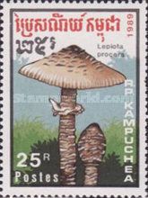 Macrolepiota procera