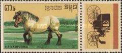 Brabant Horse (Equus ferus caballus)