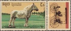 Bolounais Horse (Equus ferus caballus)