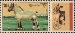Breton Horse (Equus ferus caballus)