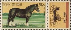 Vladimir Heavy Draft (Equus ferus caballus)