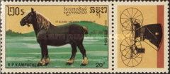 Italian Heavy Draft (Equus ferus caballus)