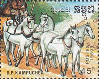 Horses
