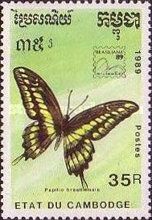 King Swallowtail (Papilio thoas ssp. brasiliensis)